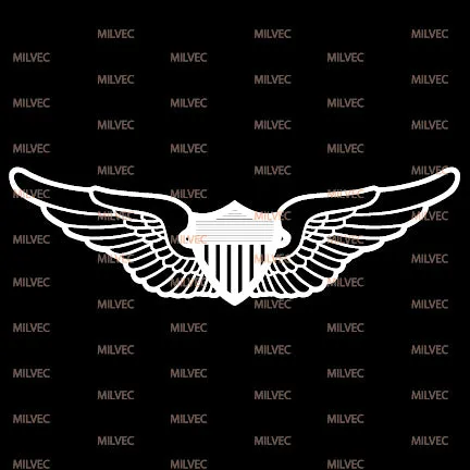 Aviation Wings Vinyl Decal