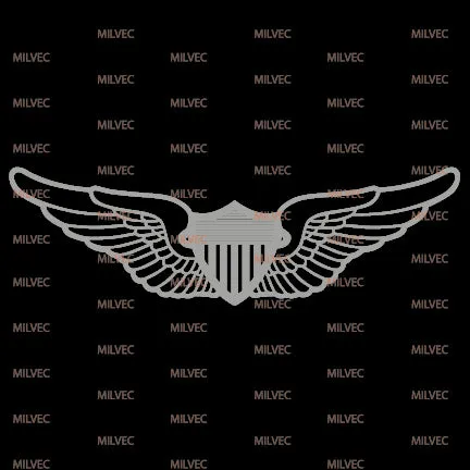 Aviation Wings Vinyl Decal