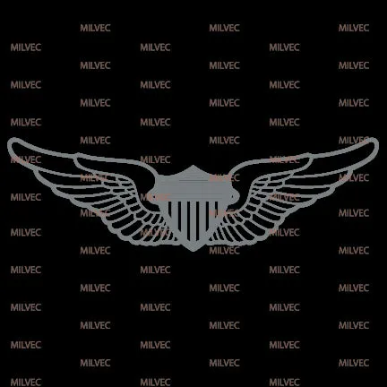 Aviation Wings Vinyl Decal