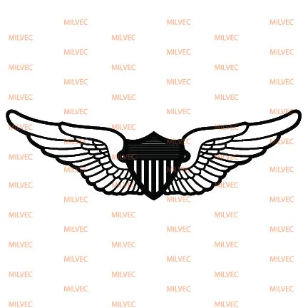 Aviation Wings Vinyl Decal